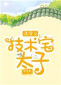 清穿之技術宅太子