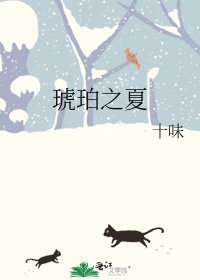 琥珀之夏