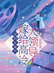 退婚家暴男，嫁給高冷大領導！/我去相親讓高冷大領導徹底失了控/想告別天未晚